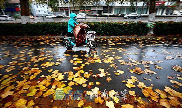 �������ĝ�(j��)�����ğo�����-����λ�Ƃ������S��